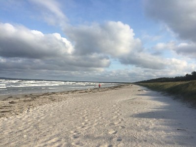 Holiday house Strandläufer (Sandpiper) - Environment photo 15