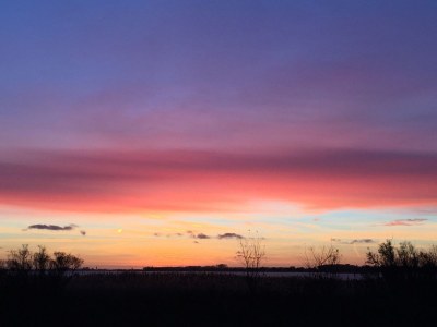 Holiday house Strandläufer (Sandpiper) - Environment photo 16