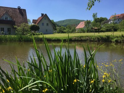 Holiday house Marggraf - Outdoor photo 7