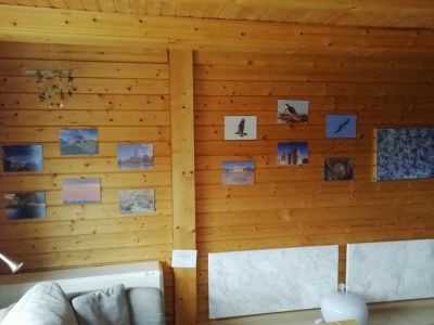 Holiday house Pongratz - Features photo 10