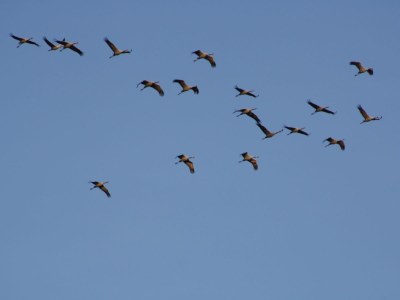 Holiday house Pongratz - Environment photo 16