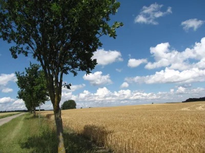 Holiday house Pongratz - Environment photo 19