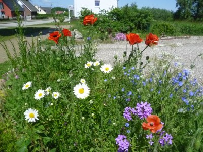 Holiday house Lindenhaus - Outdoor photo 4