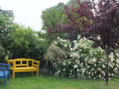 Holiday house Lindenhaus - Outdoor photo 7