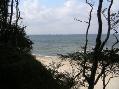 Holiday house Lindenhaus - Environment photo 25