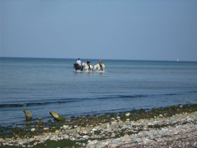 Holiday house Lindenhaus - Environment photo 26