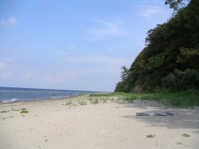 Holiday house Lindenhaus - Environment photo 28