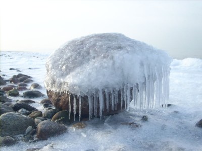 Holiday house Lindenhaus - Environment photo 29