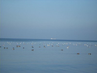 Holiday house Lindenhaus - Environment photo 30