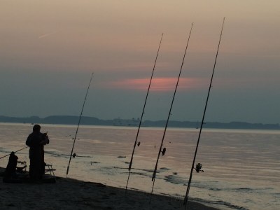 Holiday house Lindenhaus - Environment photo 33