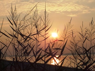 Holiday house Lindenhaus - Environment photo 34