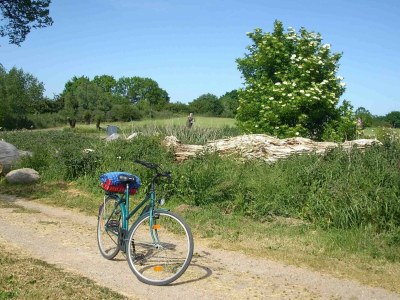 Holiday house Lindenhaus - Environment photo 36