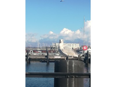 Holiday apartment Baltic Domicile - Environment photo 30