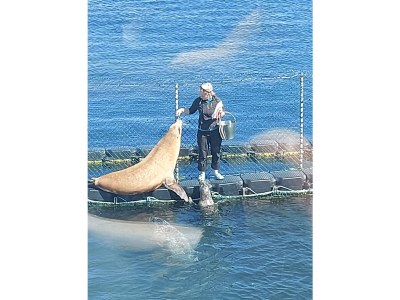 Holiday apartment Baltic Domicile - Environment photo 33