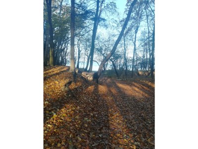 Holiday apartment Baltic Domicile - Environment photo 34