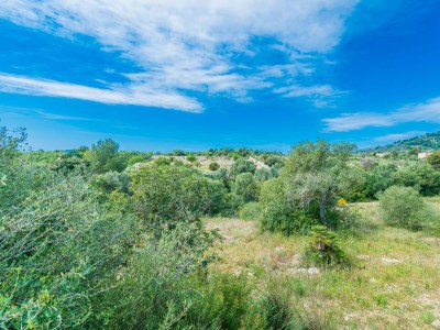 Villa Can Canals - Outdoor photo 15