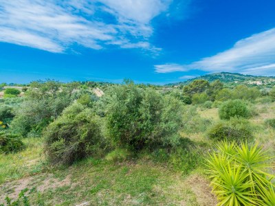 Villa Can Canals - Outdoor photo 17