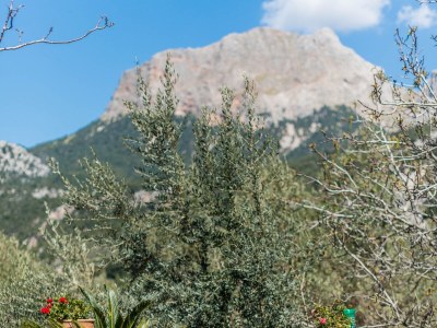 Chalet Can Mateu - Outdoor photo 10