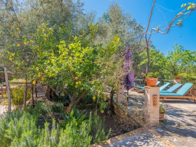 Chalet Can Mateu - Outdoor photo 17