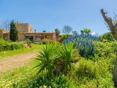 Villa Villa Es Molí Des Trenc - Outdoor photo 23