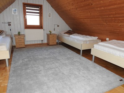 Holiday house blockhouse at lake Silbersee - Features photo 16