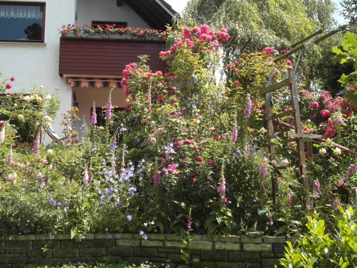 Holiday house im romantischen Rheintal bei Bonn - Outdoor photo 3