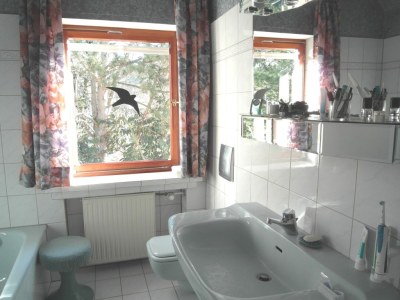 Holiday house im romantischen Rheintal bei Bonn - Features photo 13