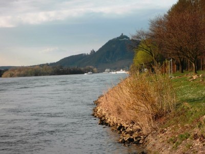 Holiday house im romantischen Rheintal bei Bonn - Environment photo 17