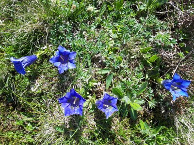 Holiday house Angelina - Environment photo 15