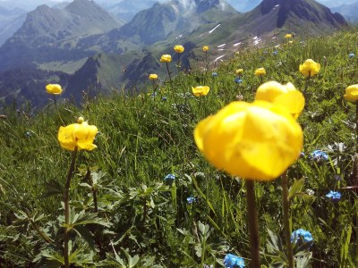 Holiday house Angelina - Environment photo 17