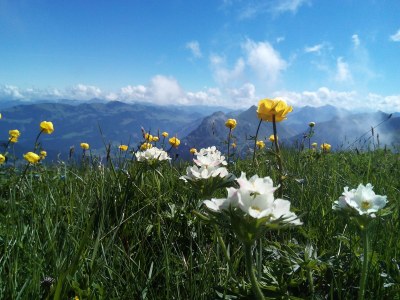 Holiday house Angelina - Environment photo 18