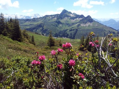 Holiday house Angelina - Environment photo 19