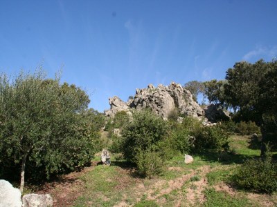 Holiday house Holiday home in Telti near beach - Environment photo 49