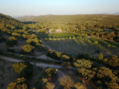 Holiday house Holiday home in Telti near beach - Environment photo 50