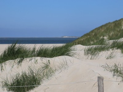 Holiday house Villa Oog op Duin - Environment photo 19