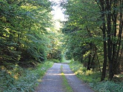 Holiday apartment Birkenhof Landleben - Environment photo 17