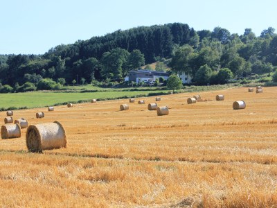 Holiday apartment Birkenhof Landleben - Environment photo 18