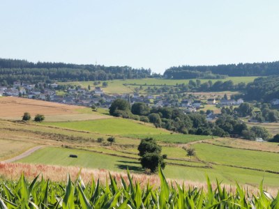 Holiday apartment Birkenhof Landleben - Environment photo 19