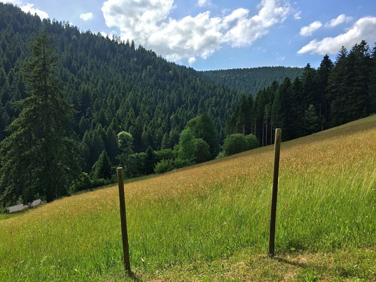 Holiday house Charmantes, einladendes Ferienhaus in toller Natur - Outdoor photo 3