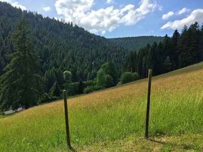 Holiday house Charmantes, einladendes Ferienhaus in toller Natur - Outdoor photo 3