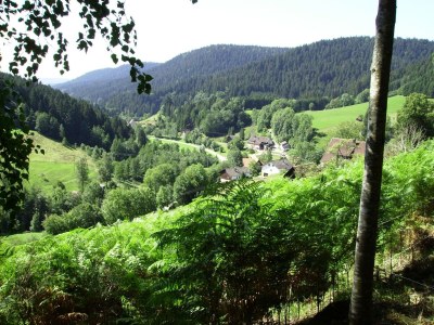 Holiday house Charmantes, einladendes Ferienhaus in toller Natur - Environment photo 31