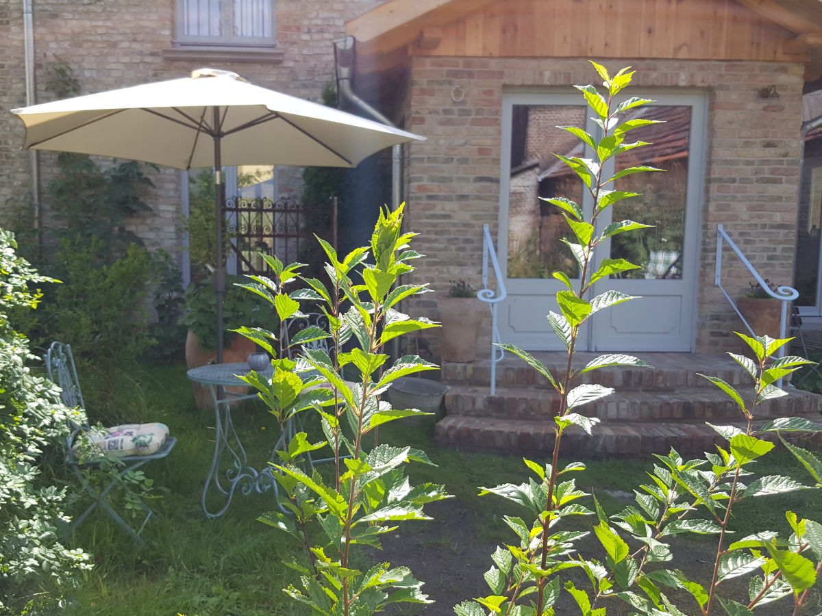 Holiday apartment Jasmin - Outdoor photo 5