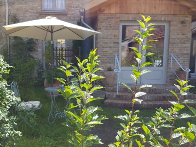 Holiday apartment Jasmin - Outdoor photo 5