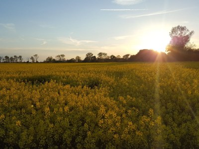 Holiday apartment Jasmin - Environment photo 23