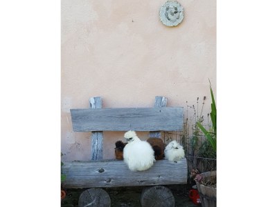 Holiday apartment Jasmin - Document photo 28