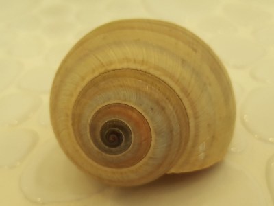 Holiday apartment Jasmin - Document photo 29