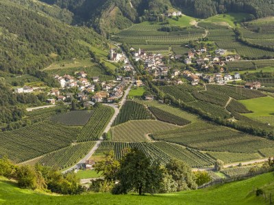 Holiday apartment Mittermoarhof - Environment photo 23