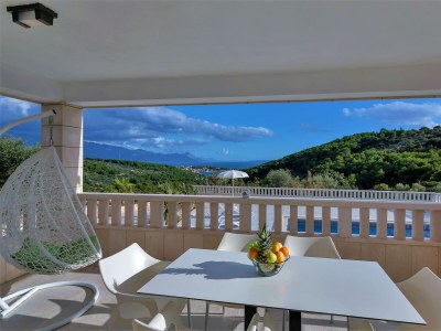 Holiday house Lokanjac mit Pool - Outdoor photo 21