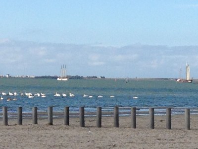 Holiday house Firla - Environment photo 29