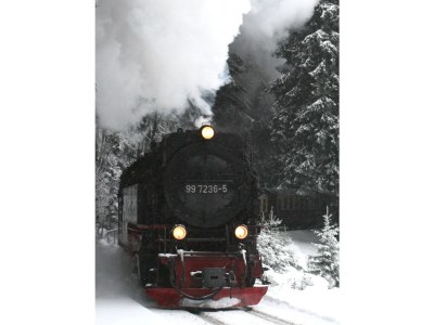 Holiday house Bergwaldlodge Einklang - Environment photo 19